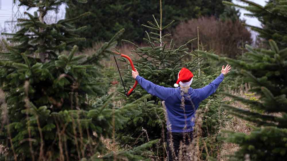 Auf einem Feld stehen viele Tannen. Ein Mann mit Weihnachtsmann-Mütze und Säge breitet die Arme aus