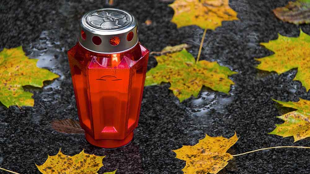 Rotes Grablicht neben mehreren Blättern
