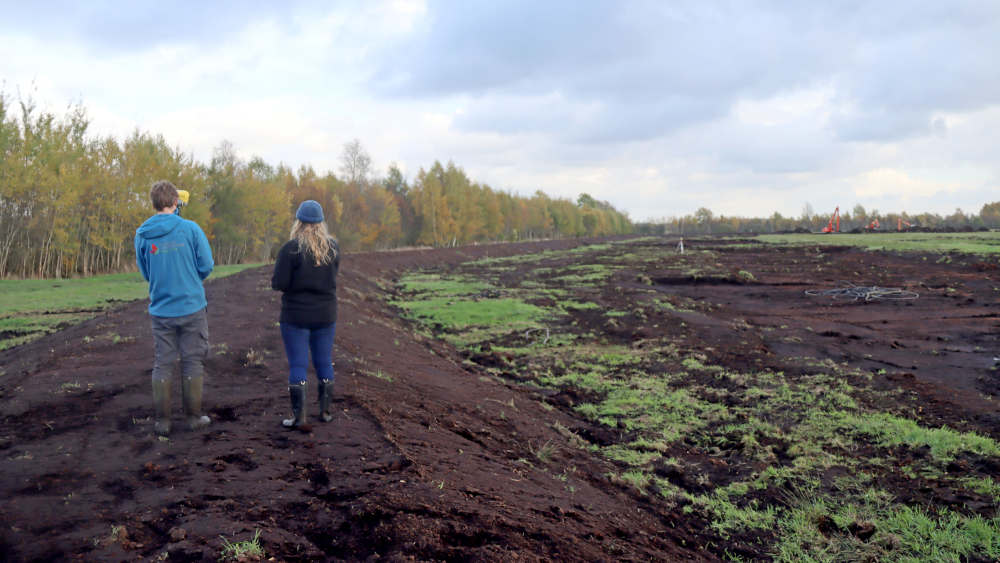 Zwei Leute laufen über eine braunes Moor, im Hintergrund Wald