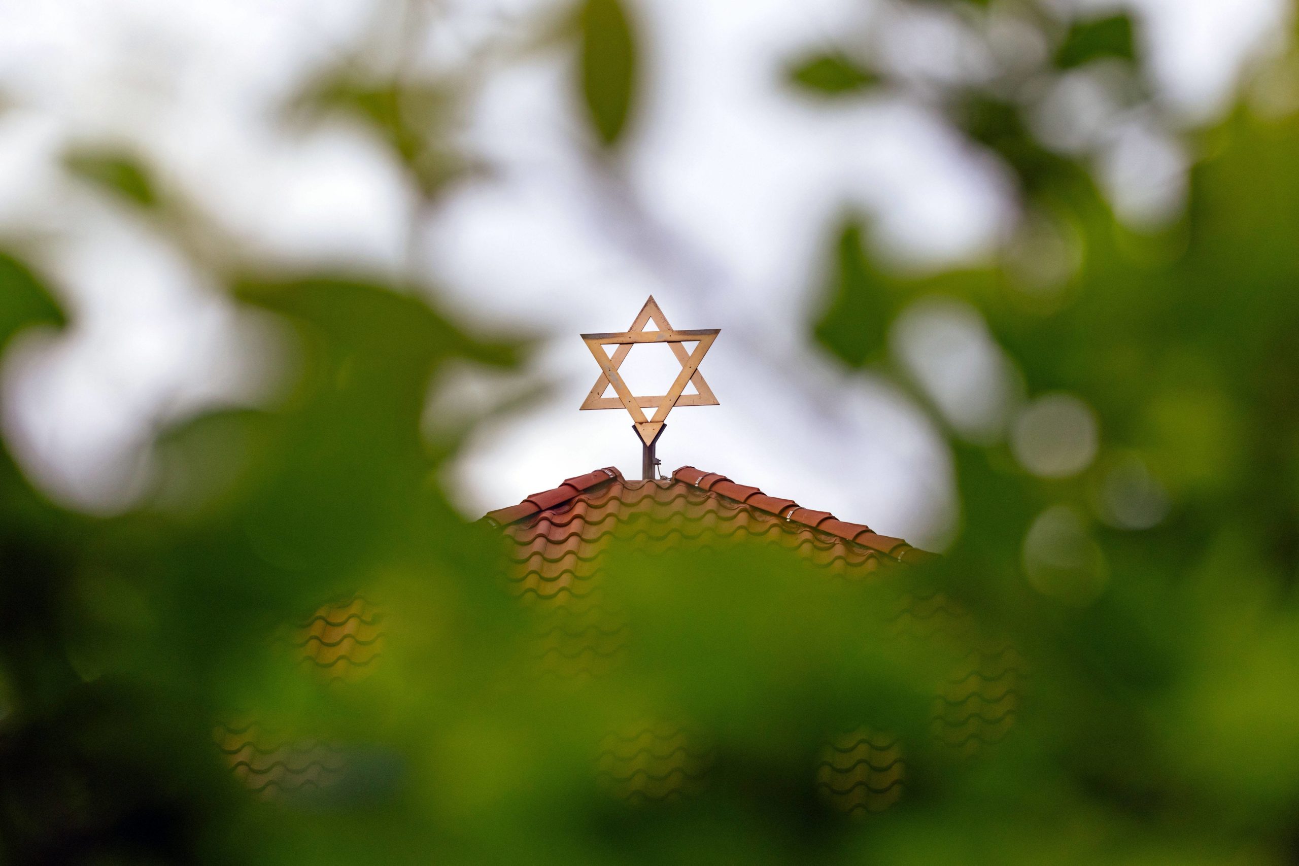 Hinter einem grünen Strauch steht ein Davidstern auf einem Dach