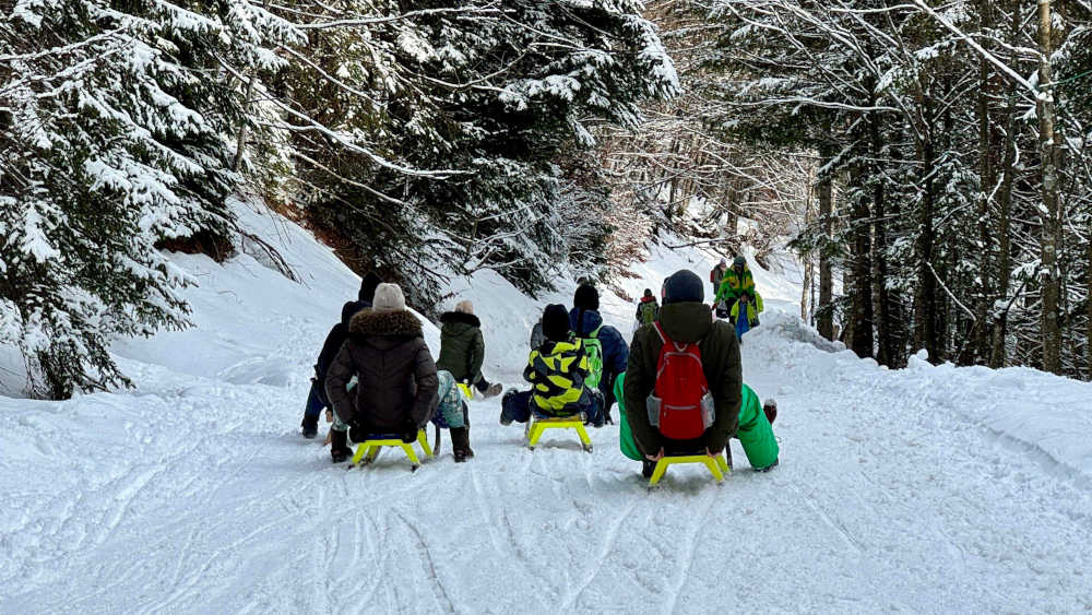 Rodeln in Winterlandschaft