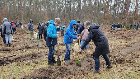 In einem kalen Waldgrundstück sind viele Jugendliche. Im Vordergrnd sind zwei Jungs in blauen regenjacken, neben ihnen eine erwachsene Frau. Sie buddln mit Spaten ein Loch in die Erde.