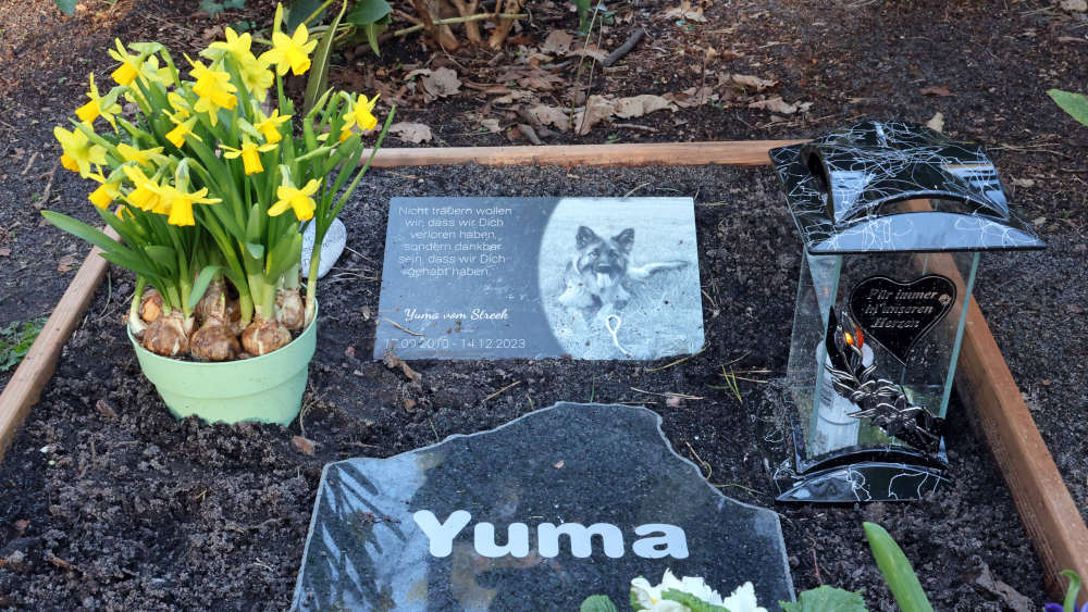 Ein Tiergrab auf dem Tierfriedhof