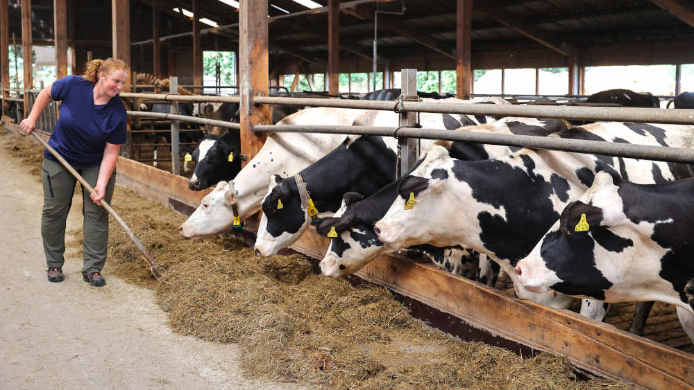 Agrarbetriebswirtin Köcher-Reuße bei der Stallarbeit im Milchviehstall