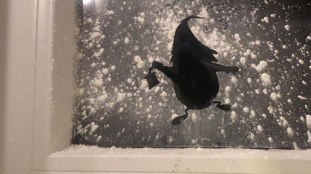 Der Umriss eines Wichtels am Fenster.