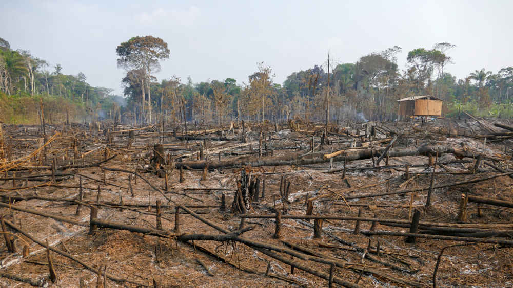 Waldbrände im Amazonasgebiet
