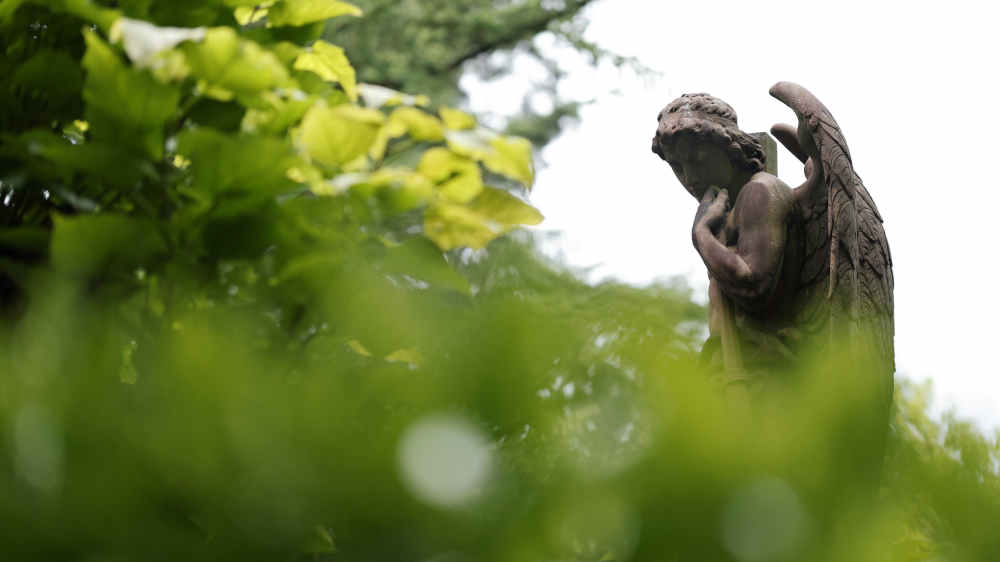 Steinerner Engel im Grünen auf Friedhof